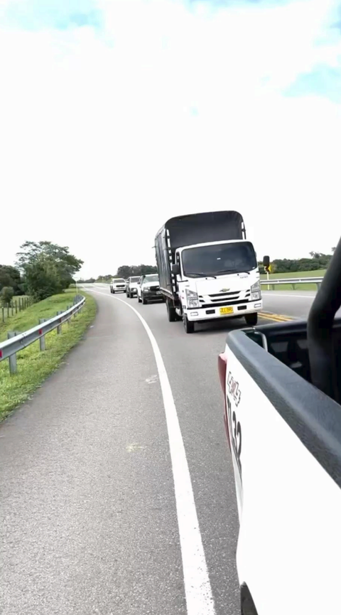 Traslado por carretera hacia un sitio de liberación.